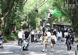 关于欧国联赛事持续升温，观赏价值高涨的信息