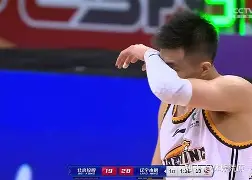 外线球员远投接连命中，为球队贡献的简单介绍